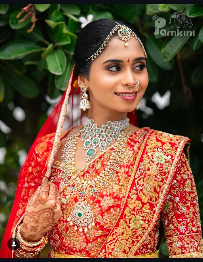 Parnikini Red Embroidered Bridal Saree